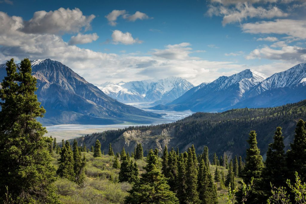 Reserva de conservación Llafenco — interior